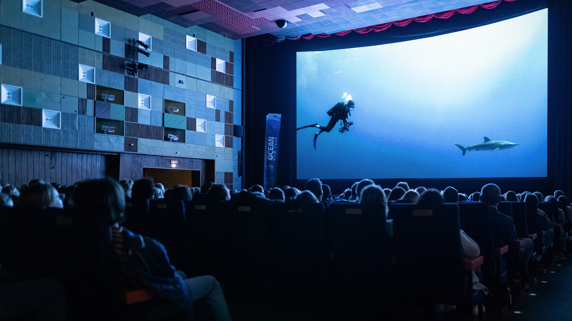Kinopublikum sieht einen Dokumentarfilm &uuml;ber Tauchen und Haie auf einer gro&szlig;en Leinwand beim Filmevent.